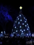 12月1日，位于美国首都华盛顿白宫前的国家圣诞树被点亮。新华社记者张军摄