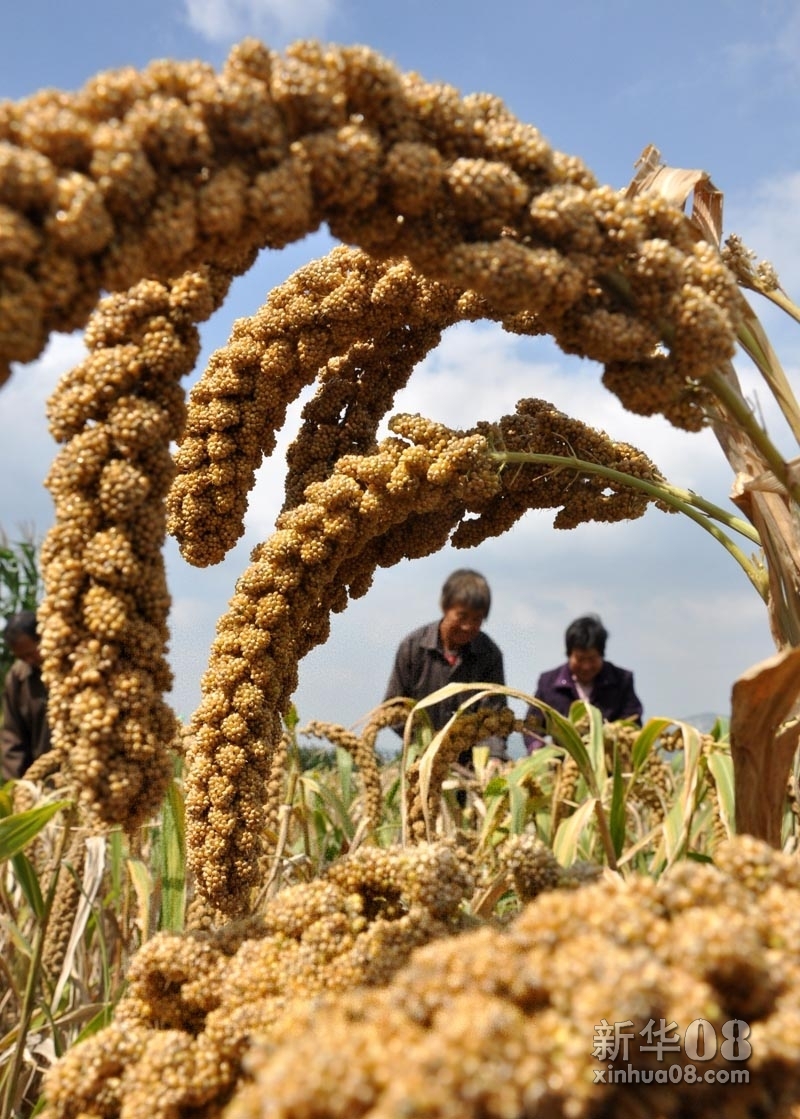 2011看发展而今迈步从头越