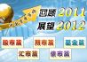 回顾2011中国资本市场 展望2012
