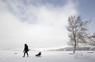 2月9日，在格鲁吉亚首都第比利斯，一位母亲用雪橇拉着孩子在结冰的湖面上行走。格鲁吉亚近日遭遇低温天气。据记载，今冬是格鲁吉亚近十年来最冷、降雪最多的冬天。新华社/路透