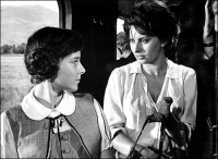 3、索菲娅·罗兰　尽管奥斯卡更加关注美国演员，但它却不能忽视这位来自意大利的美丽女人索菲娅·罗兰。上世纪50年代，罗兰开始拍摄一些美国电影，后来又回到意大利。1960年，她以一部反映二战的意大利影片《战地两女性》获奥斯卡和戛纳奖双料影后，罗兰也成为奥斯卡历史上首位在非英语影片中获女主角奖的外国演员。