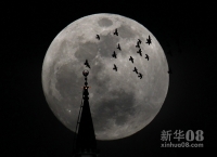 新华社照片，北京，2012年5月6日 5月5日，飞鸟从约旦安曼上空一轮圆月前飞过。据悉，所谓的“超级月亮”是指处在近地点上的满月。5月6日是农历四月十六，正值“望”时，即月亮最大最圆的圆满时刻；北京时间当天12时月球又恰好运行至近地点，地球与月球之间的距离为全年最近，因此月亮的视觉直径最大。专家介绍，月球轨道为椭圆，距地球最近时约35万公里，最远时约40万公里。因距离不一样，公众眼中的月亮也就有了“大月亮”和“小月亮”之分。新华社/路透  