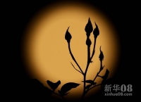 新华社照片，北京，2012年5月6日  5月5日，一轮圆月悬挂在美国加利福尼亚州洛杉矶城市上空。新华社/法新