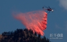 7月2日，在美国科罗拉多州科罗拉多斯普林斯，直升飞机在空中执行灭火任务。新华社/路透