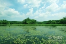 这是镜泊湖一处风景（7月8日摄）。新华社记者张燕辉摄