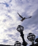 新华社照片，伦敦，2012年7月23日 图为一只飞鸟从大英博物馆前的灯柱上掠过（7月20日摄）。新华社记者李尕摄 