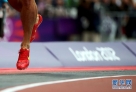 8月7日，中国选手刘翔摔倒后单脚跳完成比赛。当日，刘翔在伦敦奥运会田径男子110米栏预赛中摔倒，无缘晋级。 新华社记者廖宇杰摄 
