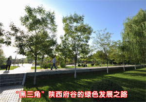'黑三角'陕西府谷的绿色发展之路(组图)