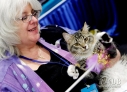10月21日，在美国纽约贾维茨中心举办的“猫狗品种大聚会”上，一只宠物猫咪的主人拿逗猫棒和猫咪玩耍。新华社记者伍婧丹