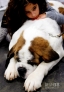 10月21日，在美国纽约贾维茨中心举办的“猫狗品种大聚会”上，一名小女孩趴在一只圣伯纳犬背上。新华社记者伍婧丹