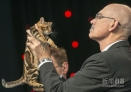 10月28日，在克罗地亚首都萨格勒布举办的世界猫展上，一名国际评委仔细评选参赛的猫。新华社发（米绍·利沙宁摄）