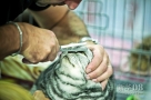 10月28日，在克罗地亚首都萨格勒布举办的世界猫展上，一名参展者为他的猫剪毛，新华社发（米绍·利沙宁摄）