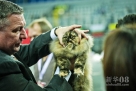 10月28日，在克罗地亚首都萨格勒布举办的世界猫展上，参展者展示他们的猫。新华社发（米绍·利沙宁摄）