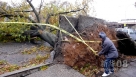 10月30日，在美国纽约皇后区，一名志愿者清理被飓风吹倒的大树。新华社记者刘洁摄 