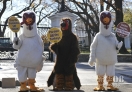 仪式进行同时，白宫外几名素食主义者身着“火鸡服”，手举标语，要求奥巴马“赦免所有火鸡”，呼吁民众改吃素食。每年11月第4个星期四是美国传统节日感恩节，火鸡是感恩节传统主菜。白宫自1947年开始展示获赠的感恩节火鸡，此后据说由肯尼迪于1963年非正式地开始“赦免”火鸡的先例，而真正形成赦免仪式传统由老布什开始。
