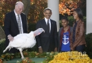 11月21日，美国华盛顿白宫玫瑰园，奥巴马（左二）在两个女儿玛莉娅（右一）和萨沙（右二）的陪同下参加火鸡赦免仪式。新华社记者 方喆 摄 