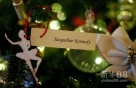 11月28日，在美国华盛顿白宫，圣诞树上挂着纪念前第一夫人杰奎琳·肯尼迪的装饰品。当日，美国白宫2012年圣诞节装饰全部完成。新华社照片，法新，2012年11月29日 新华社/法新 