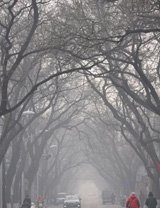 北京一月遭遇四次雾霾“侵扰”（组图）