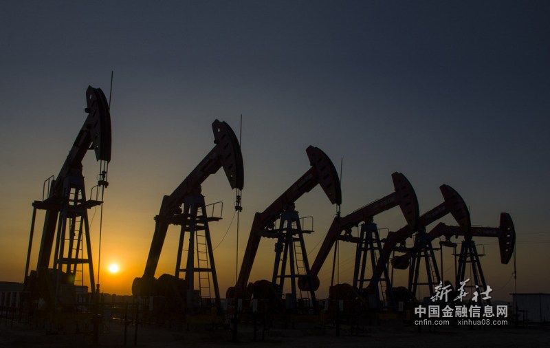 阿联酋2013年石油出口额近千亿