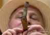 古巴优质手卷雪茄诞生记——访古巴最大雪茄厂
