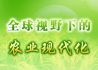全球视野下的农业现代化