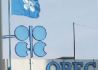 OPEC秘书长：石油市场维稳协议或将持续一年