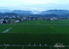 湖南：法制利剑挥向“生态毒瘤”守护绿水青山