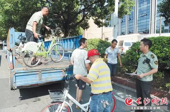 城管现场整治共享单车的乱停乱放现象。长沙晚报记者 余劭劼 摄.webp