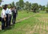柬埔寨高级别农业专家顾问培训班在金边举行