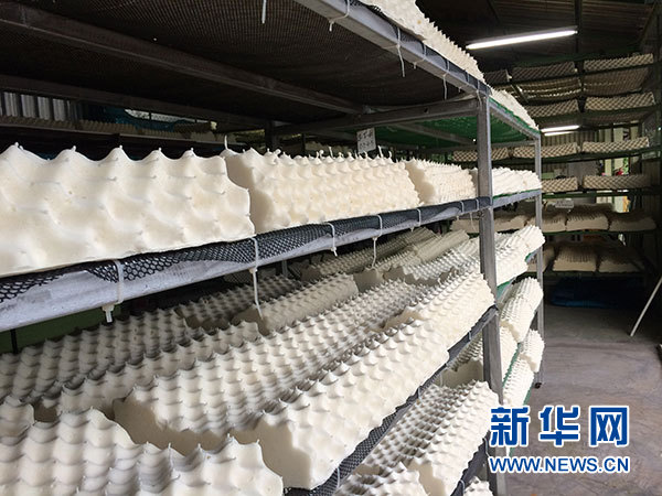 泰国东北汶甘府一处乳胶工厂的乳胶枕头