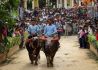 柬埔寨纪念传统节日“亡人节”