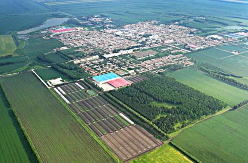 关于#农行黑龙江分行#的新闻