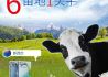 信用通关让新西兰鲜奶72小时可达中国消费者