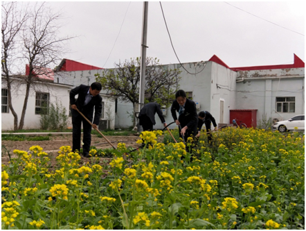 农行新疆兵团分行“小菜园”推动“大家园”