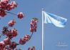 联合国大会通过决议强化抗击新冠疫情国际合作