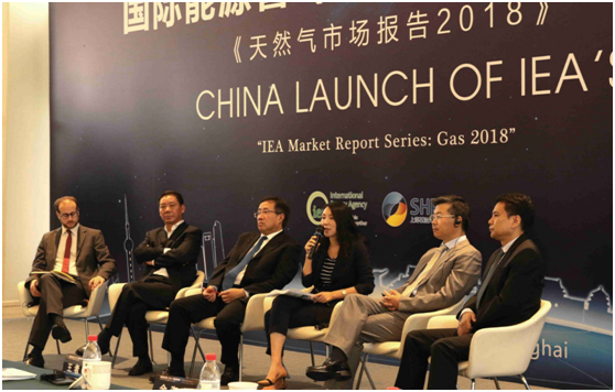 图片说明：中海气电集团有限公司副总经理金淑萍在演讲