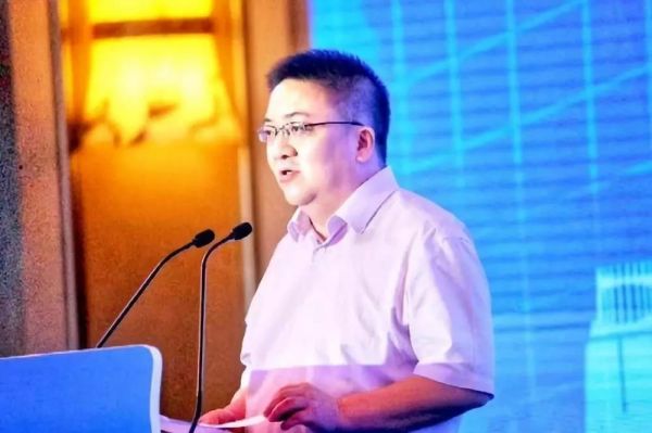 新华社中国经济信息社副总裁匡乐成在峰会上发言