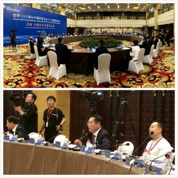 4丁佐宏出席世界500强与中国民营企业500强圆桌会议并作发言