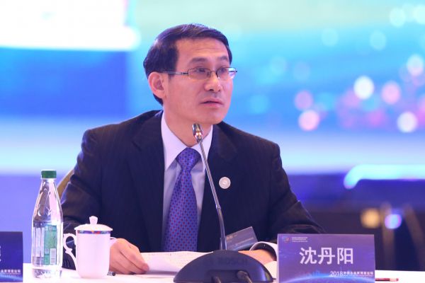 海南省副省长沈丹阳在论坛上发言
