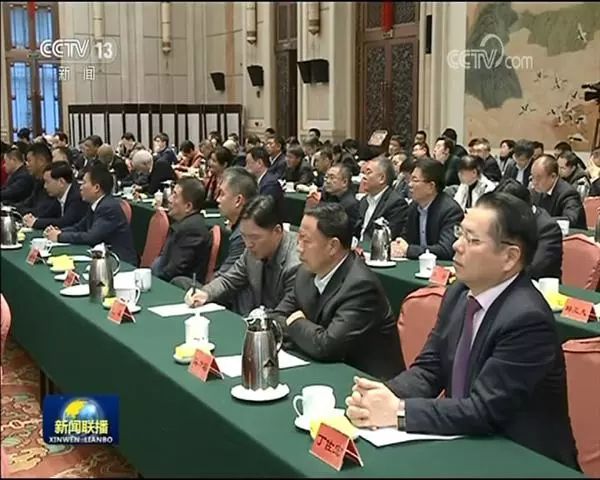 丁佐宏在北京参加民营企业家迎春座谈会