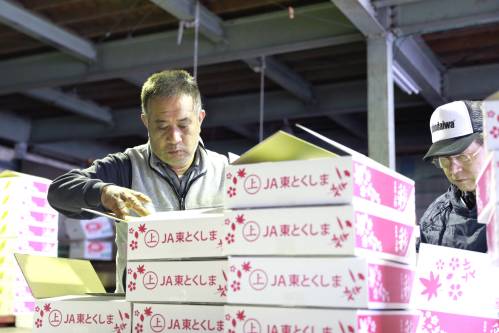 在以农业为主的日本德岛县上胜町，工作人员在配送中心检查农户送来的树叶和花朵。新华社