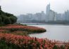 广西南宁：湿地建设筑起城市生态屏障
