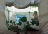 菲律宾：“帐篷小学”的开学第一天
