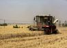 国内新小麦收购价略呈偏强态势 国际市场美国小麦产量高于预期