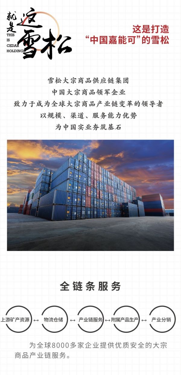 这就是追光者,这就是广州的雪松!2