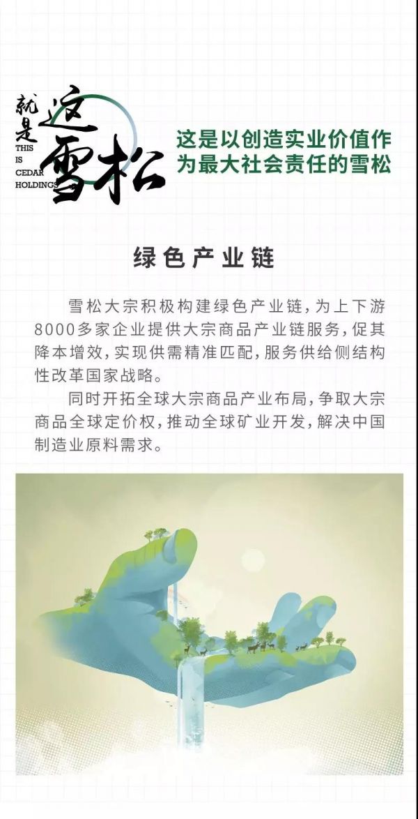 这就是追光者,这就是广州的雪松!12