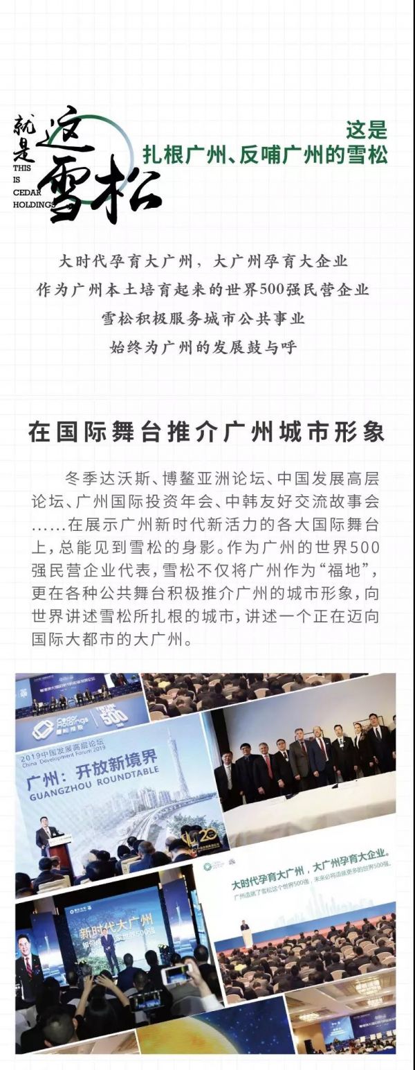 这就是追光者,这就是广州的雪松!16