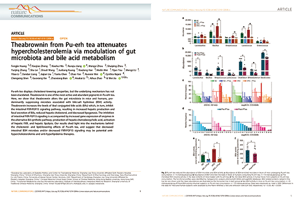 《Nature》子刊《Nature Communications》刊发贾伟教授及团队完成的关于普洱茶