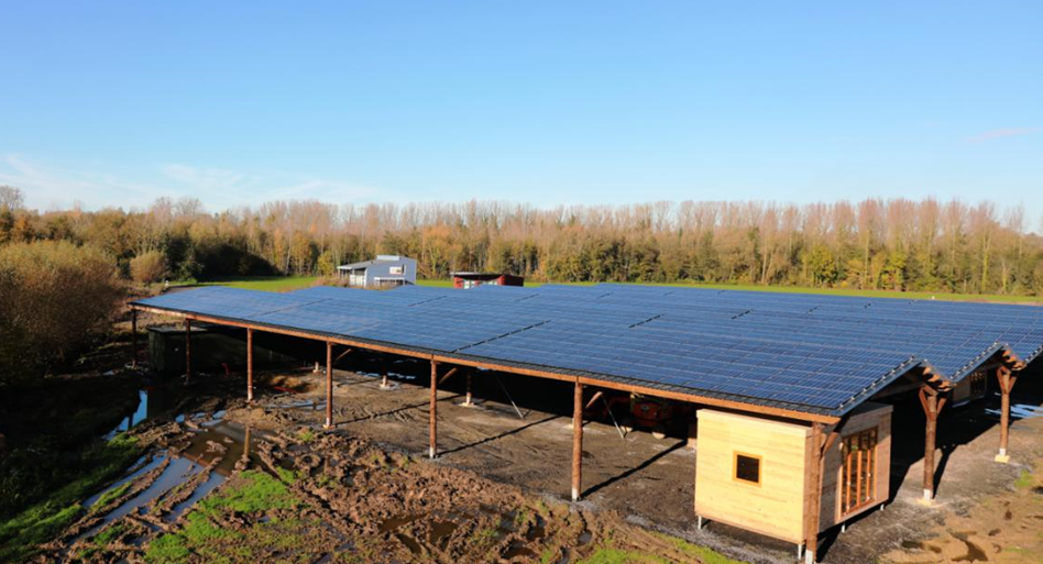 图为Your Nature生态度假村 (潘革平 摄)