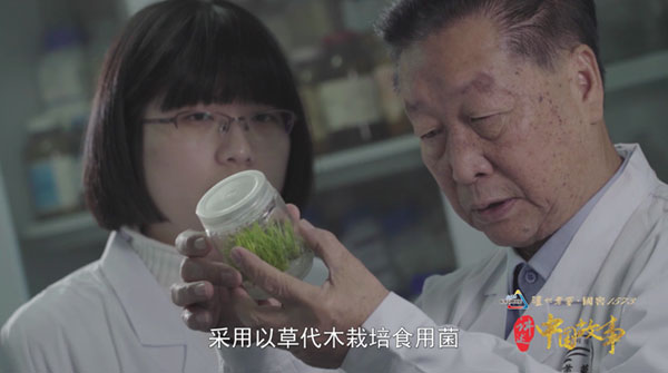 图为研究菌草技术的林占熺